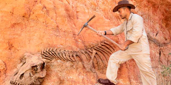 carrera-de-paleontologia
